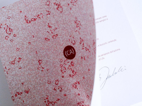 {CA} - artist's book - 2015